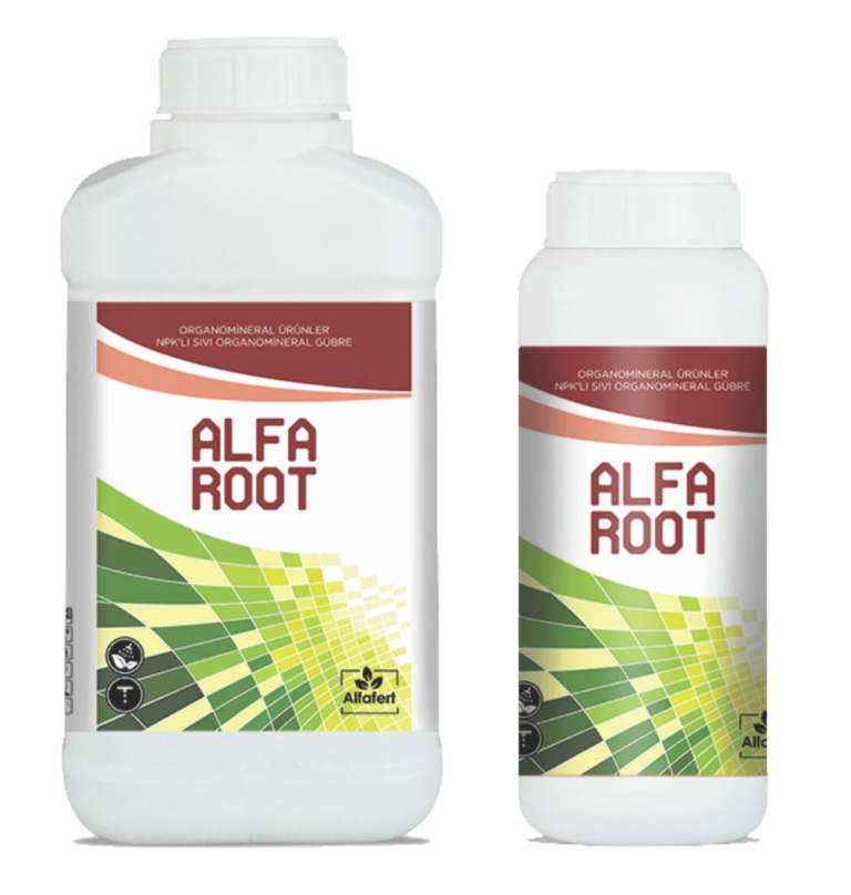 ALFA ROOT