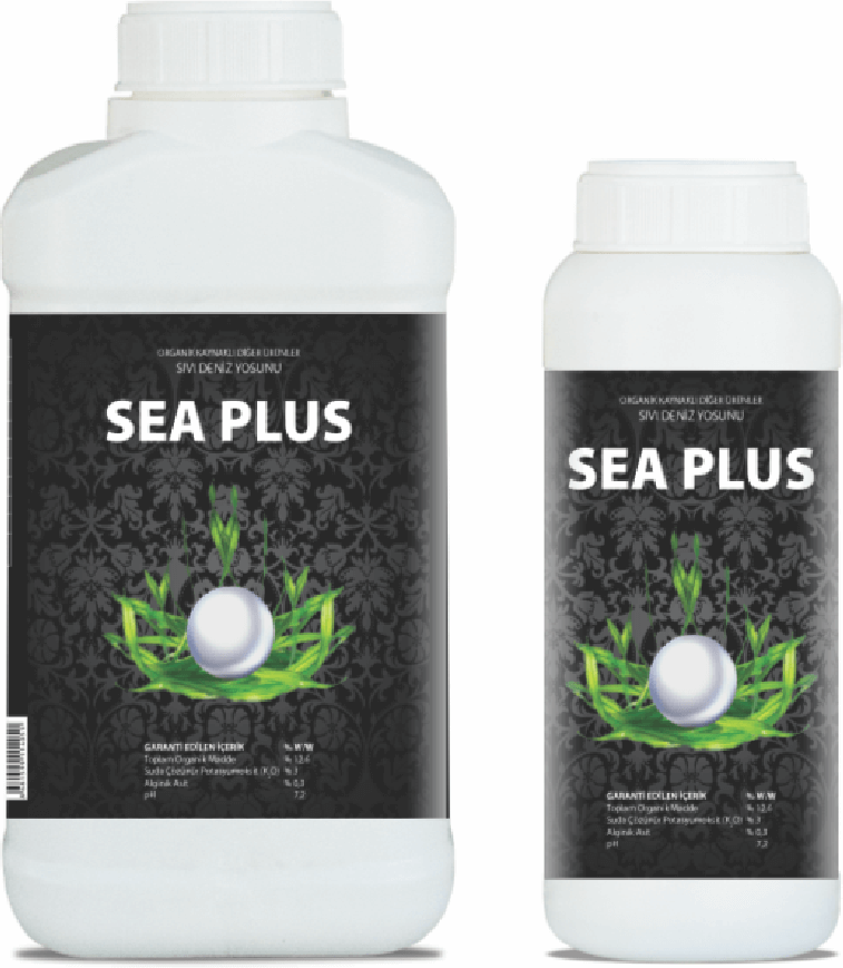 Sea Plus Seaweed